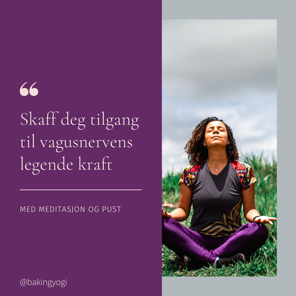 To store nyheter til en liten pris!