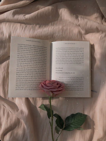 Bokpakke - roman & roser
