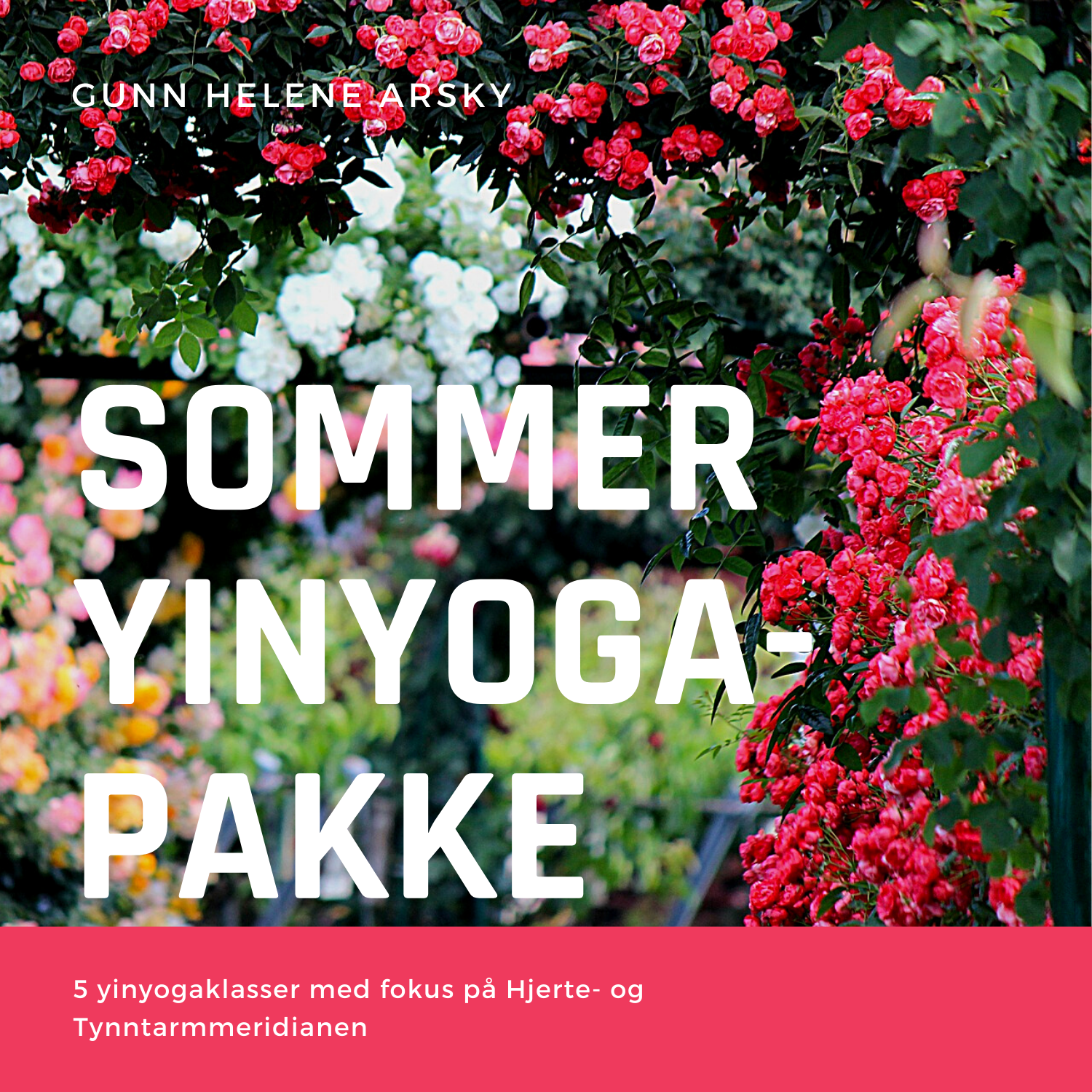 Sommerpakke yinyoga