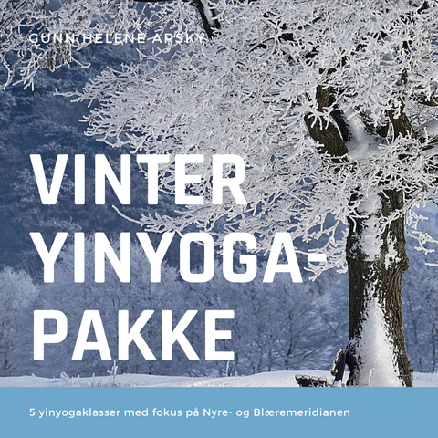 Vinterpakke yinyoga